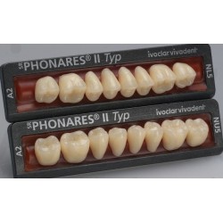 Dientes Phonares II Posterior 8 pzas*